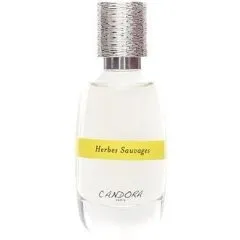 Candora Herbes Sauvages parfüm şişesi