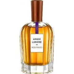 Molinard Ambré Lumière parfüm şişesi