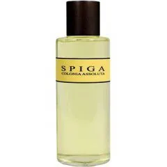 Panama 1924 Spiga perfume bottle
