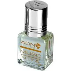 ADN Paris Musc Niya parfüm şişesi