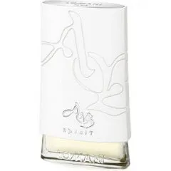 Lomani AB Spirit Silver parfüm şişesi
