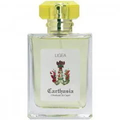 Carthusia Ligea La Sirena (Eau de Toilette) perfume bottle