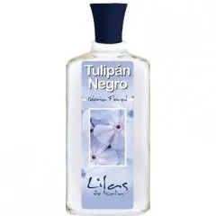 Tulipán Negro Lilas de Italia parfüm şişesi