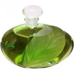 Yves Rocher Désir de Nature parfüm şişesi