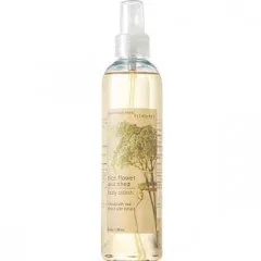 Bath & Body Works Rice Flower and Shea perfume bottle