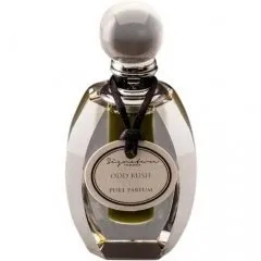 Signature Fragrances Odd Rush parfüm şişesi