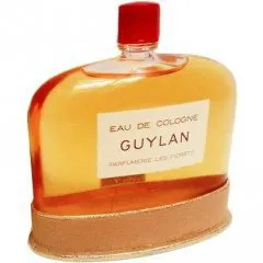 Les Fioretti Guylan parfüm şişesi