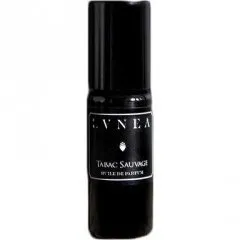 Lvnea Tabac Sauvage perfume bottle