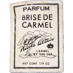 Nicole Altair Brise de Carmel parfüm şişesi