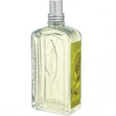 L'Occitane en Provence Verveine Soleil / Sun Verbena parfüm şişesi