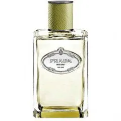 Prada Infusion de Vétiver (2015) perfume bottle