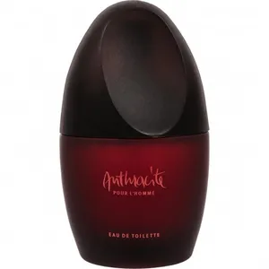 Jacomo Anthracite pour l'Homme (Eau de Toilette) parfüm şişesi
