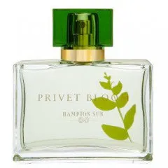 Hampton Sun Privet Bloom parfüm şişesi