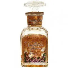 Gustav Boehm Violettes de Parme perfume bottle