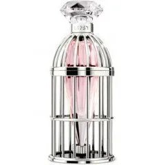 Lipsy Caged Dream perfume bottle