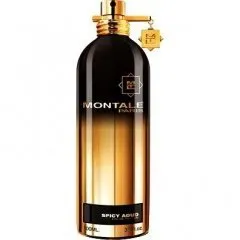 Montale Spicy Aoud / Aoud Spicy Musk parfüm şişesi