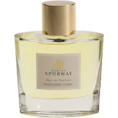 Marcus Spurway Mandarine Ylang parfüm şişesi