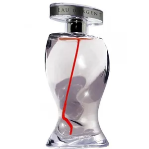 Montana Suggestion Eau d'Argent (2015) parfüm şişesi