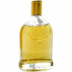 Ugo Vanelli pour Homme parfüm şişesi