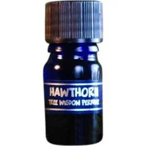Star Child Tree Wisdom Perfume - Hawthorn parfüm şişesi