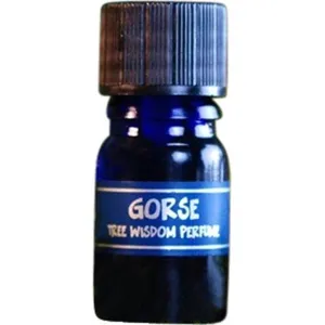 Star Child Tree Wisdom Perfume - Gorse parfüm şişesi