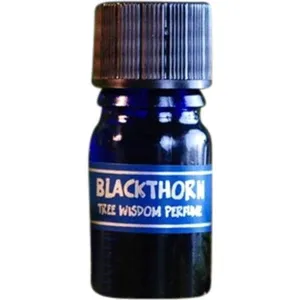 Star Child Tree Wisdom Perfume - Blackthorn parfüm şişesi