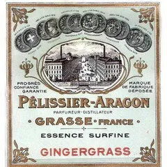 Nogara Essence Surfine Gingergrass parfüm şişesi