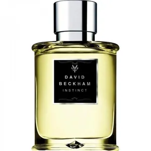David Beckham Instinct (Eau de Toilette) perfume bottle