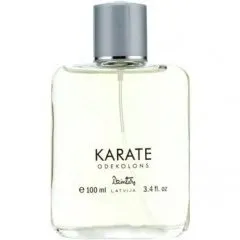 Dzintars Karate parfüm şişesi