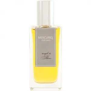 Mercurio Perfumes Temple du Silence parfüm şişesi