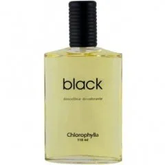 Chlorophylla Black parfüm şişesi