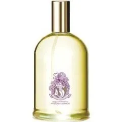 Acque Imperiali Muschio Bianco perfume bottle
