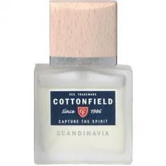 Cottonfield Scandinavia parfüm şişesi