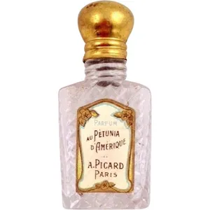 André Picard Au Pétunia d'Amérique parfüm şişesi
