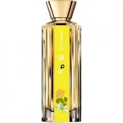 Jean-Louis Scherrer Pop Delights 01 perfume bottle