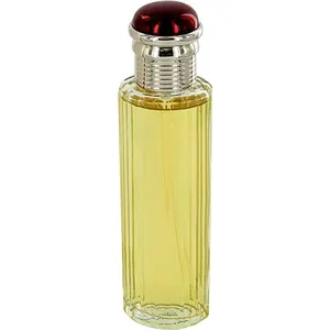Burberry Society (Parfum) perfume bottle