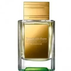 Ermenegildo Zegna Wisdom perfume bottle