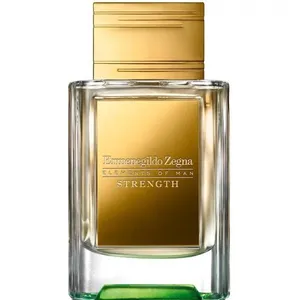 Ermenegildo Zegna Strength perfume bottle