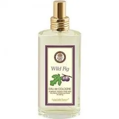 Eyüp Sabri Tuncer Wild Fig perfume bottle
