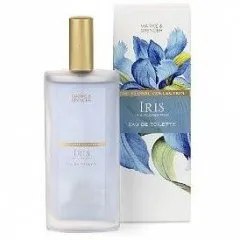 Marks & Spencer Floral Collection - Iris parfüm şişesi