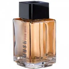 Avon Musk for Men (Eau de Toilette) perfume bottle