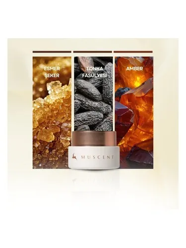 Muscent Vanilla Fairy Solid Perfume perfume bottle