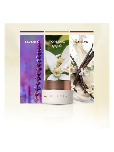 Muscent Aromatic Blossom Solid Perfume perfume bottle