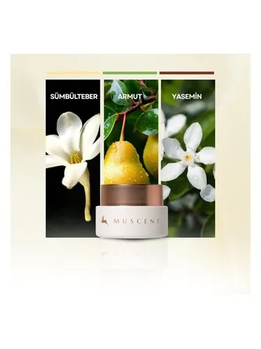 Muscent Sweet Flower Solid Perfume perfume bottle