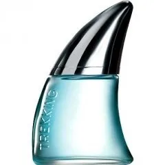 Avon Trekking perfume bottle
