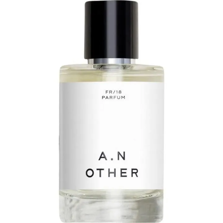A.N Other Ginger Tonic / FR/2018 / FR/18 parfüm şişesi