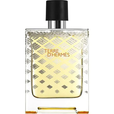 Hermès Terre d'Hermès Flacon H 2011 perfume bottle
