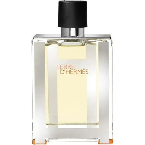 Hermès Terre d'Hermès Flacon H 2010 perfume bottle