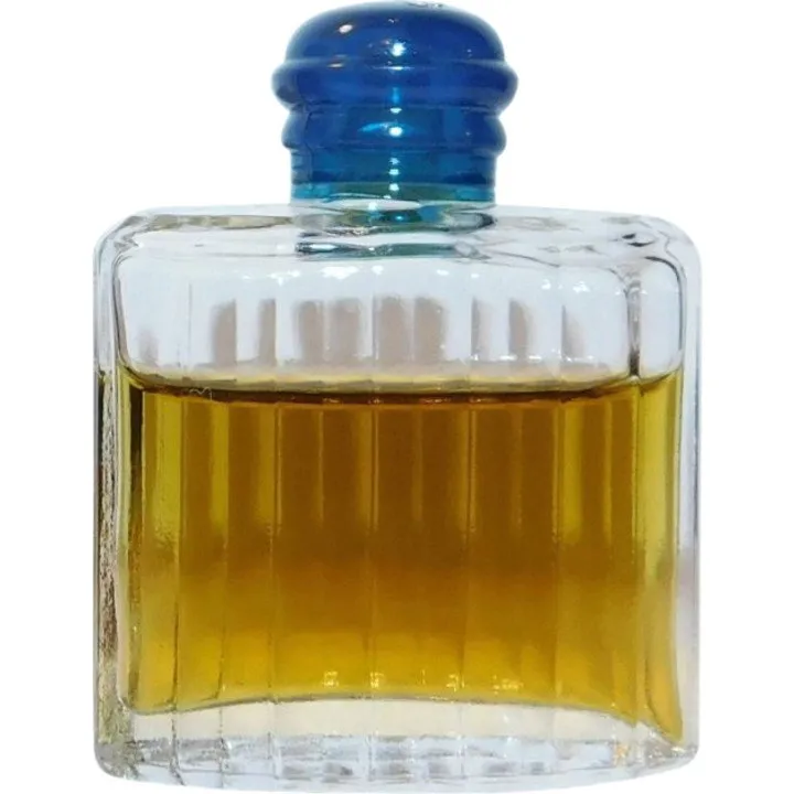 Burberrys for Men (1981) (Cologne) parfüm şişesi
