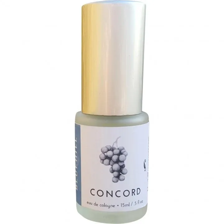 Bluehill Concord parfüm şişesi